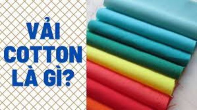 Vải cotton có đặc điểm gì?